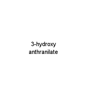 3-hydroxy anthranilate